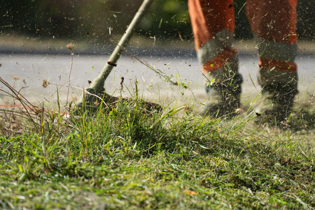 Transform Your Outdoor Space with Tumascho Landscaping Services in Rundu